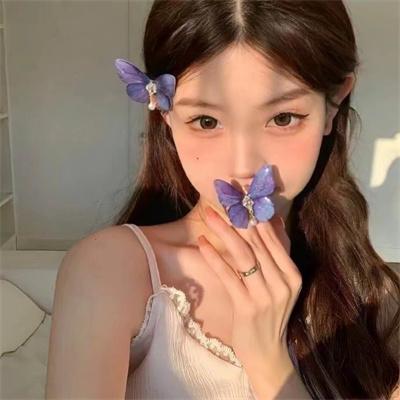 三寸粉笔系深山